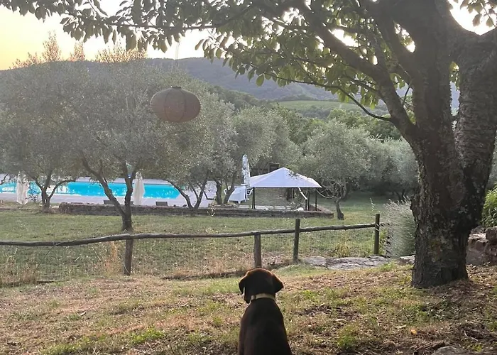 Country house Podere Le Muricce *