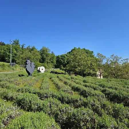 Podere Le Muricce Landhaus Cavriglia