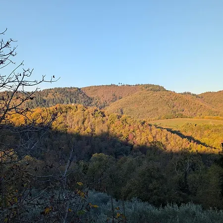 Podere Le Muricce