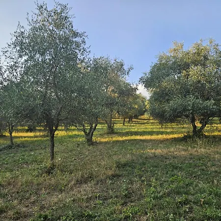 Podere Le Muricce Landhaus
